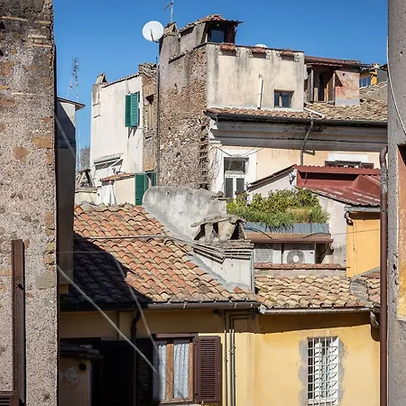 Mou Trastevere House By In